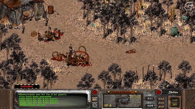 Рост и развитие