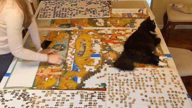 Educa Garden of Earthly Delights 9000 Puzzle Days 48-49 смотреть онлайн