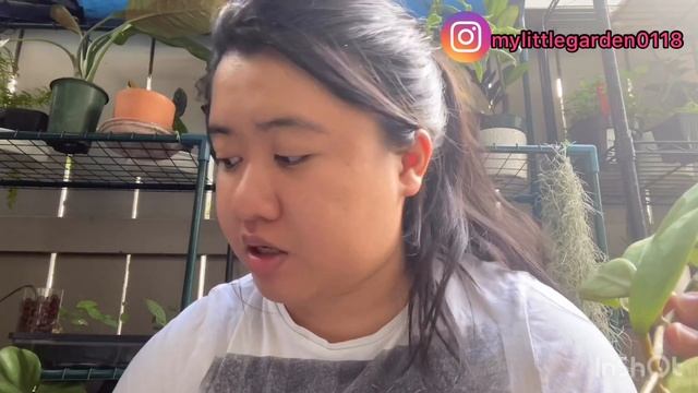 Hoya Haul (Ted Green’s Garden) смотреть онлайн