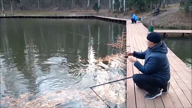 Утро. Форель клюёт на силиконовые приманки. Клёвое место. смотреть онлайн