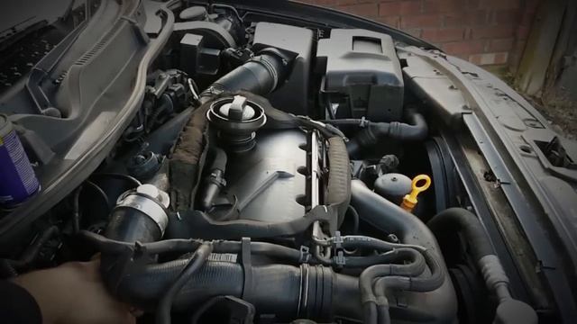 VW / Seat / Audi / Skoda 1.9tdi EGR Valve Cleaning (without Removing)