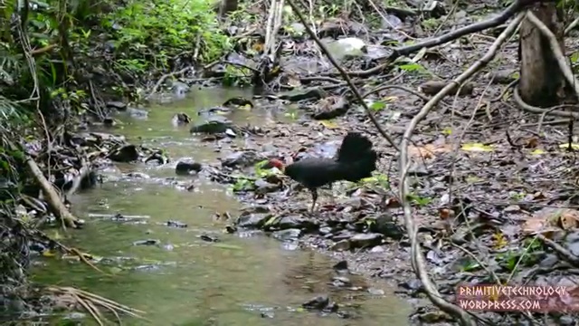 Как сделать лук и стрелы первобытным способом смотреть онлайн