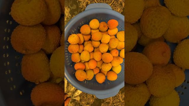 Eat healthy Fruits. Eat Lychee. Health is Wealth! смотреть онлайн