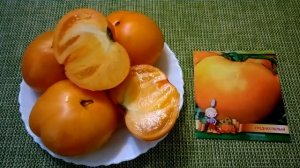 ?Томат "Хурма". Отзыв.