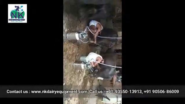 Buffalo Milking Machine смотреть онлайн