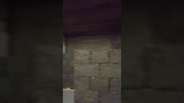 Ответ на вопрос клиента Завод "АРБОЛИТ-ЭКО" смотреть онлайн