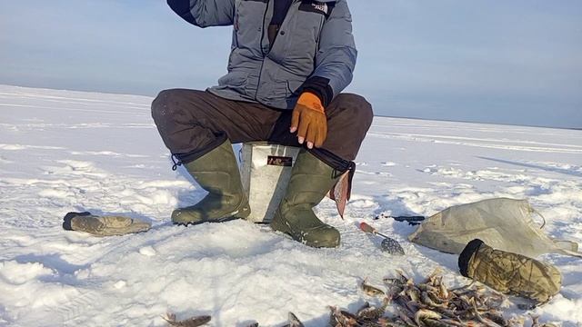 Рыбалка.. Тест новых безмотылок, на р Косьва. смотреть онлайн
