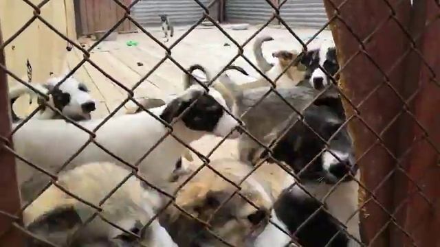 Малыши-карандаши смотреть онлайн