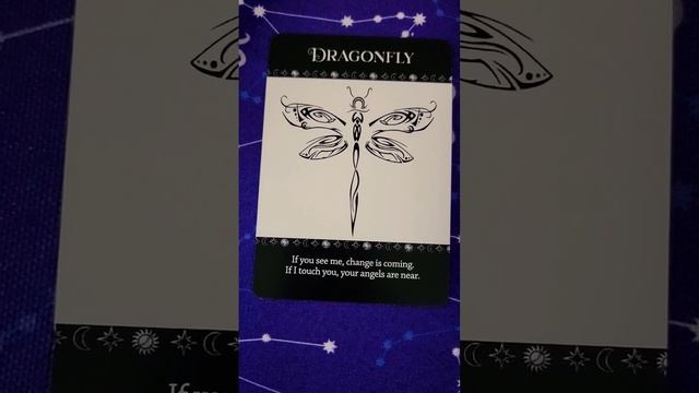 The Artist Of The Secret Art Of Love Oracle Deck #tarot #Oracle #horoscope #astrology #zodiac смотреть онлайн