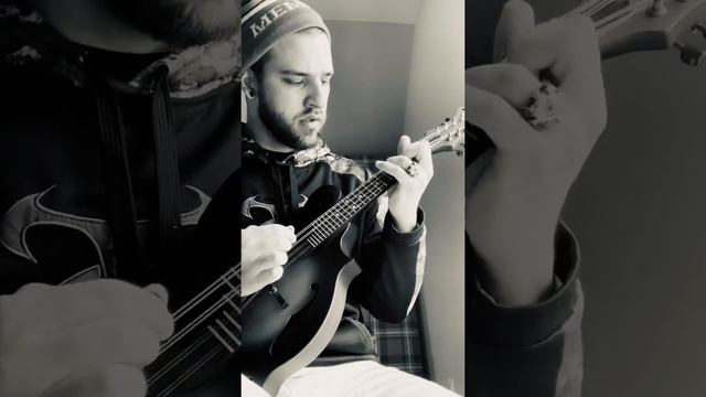 The Green Fields of Woodford - Mandolin смотреть онлайн