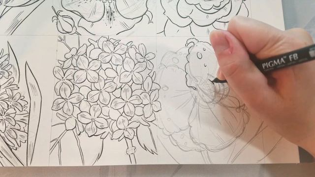 How to Draw a ⚜️Daylily⚜️ смотреть онлайн