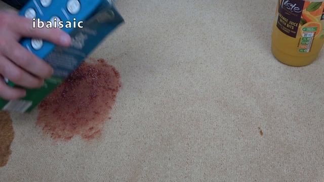 Thomas Aqua Plus Upholstery, Spill Pick Up & Stair Cleaning Demonstration