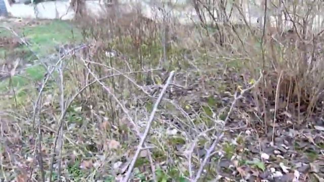 ПРЕДНОВОГОДНИЕ ПРИКОЛЫ ПРИРОДЫ Н Каховка 31 12 2017 смотреть онлайн