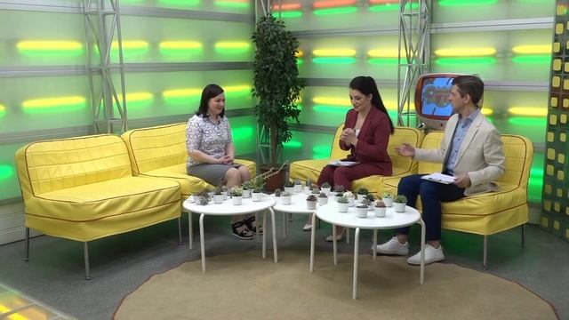 Екатерина Дядыло // «Оранжевое утро» 24.04.23 смотреть онлайн