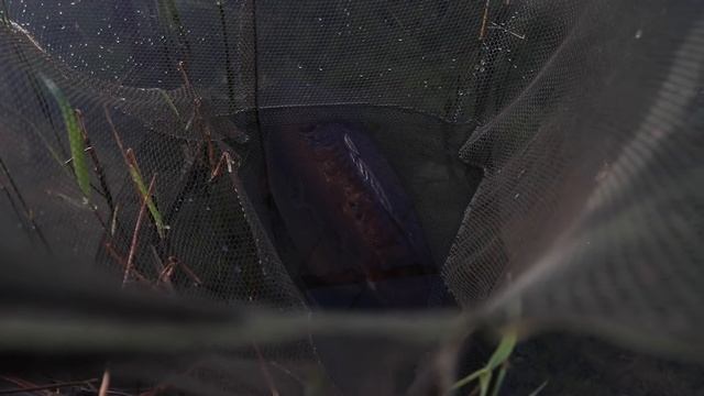 УНИКАЛЬНЫЙ держатель для КАРПОВОГО ПОДСАЧЕКА! NET - LOC от JAG! ПОДРОБНО смотреть онлайн