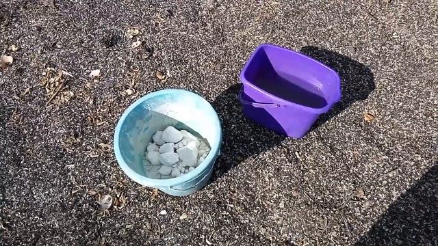 Пропорции воды и извести для побелки деревьев. смотреть онлайн