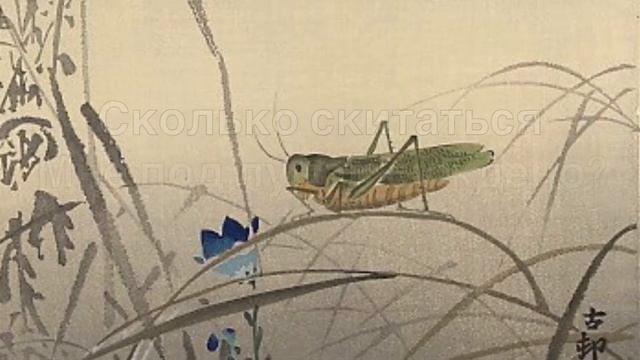 Хокку: Кузнечик-воин. По мотивам гравюр Охара Косона. Японская поэзия. смотреть онлайн