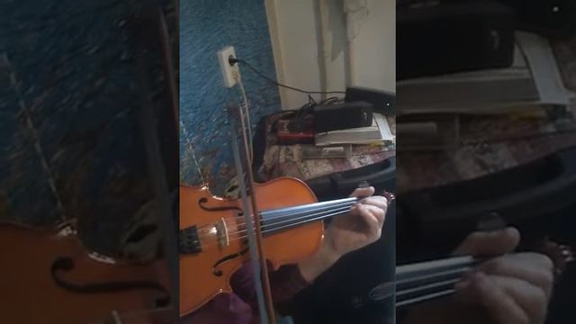 Тестируем скрипку смотреть онлайн