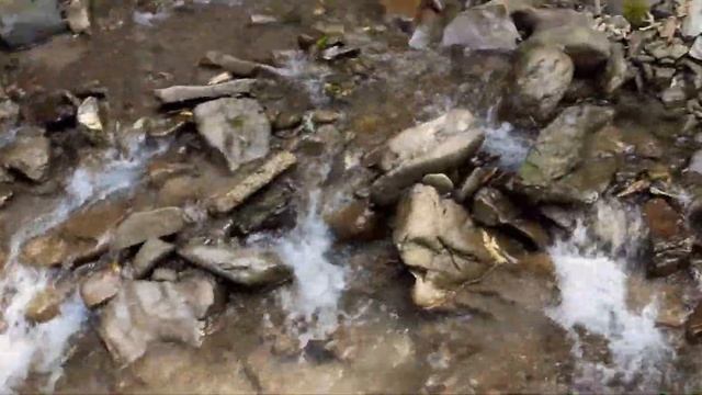 Кваси, санаторій "Гірська Тиса". Ліземо в гори.=) смотреть онлайн