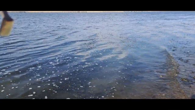 ПОЕХАЛИ на РЫБАЛКУ и ГРИБАЛКУ а ПОЙМАЛИ РАКА YouTube ДЖИГ смотреть онлайн