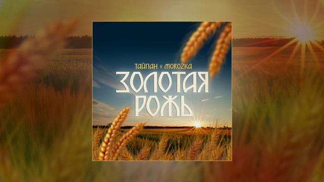 Тайпан, MoroZKa - Золотая рожь (Официальная премьера трека)