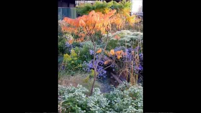 "High Line: The Inside Story of New York City's Park in the Sky" - Richard Hammond смотреть онлайн