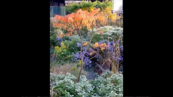 "High Line: The Inside Story of New York City's Park in the Sky" - Richard Hammond