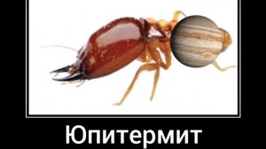 Планеты солнечной системы + ШИЗА =