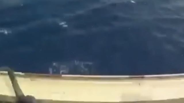 Сомали - самая дикая страна в мире смотреть онлайн
