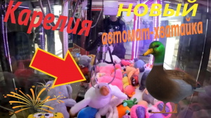Играю в НОВЫЙ автомат-хватайку в Карелии и пробую выиграть ГУСЯ!!!