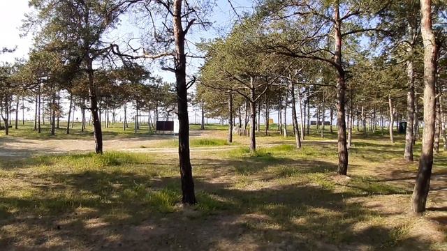 Кемпинг "Сосна". Рыбаковка. туалеты, электричество, пляж. Обзор For Extreme смотреть онлайн