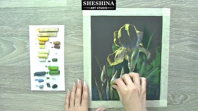 How to draw yellow iris with soft pastels ? Flowers смотреть онлайн