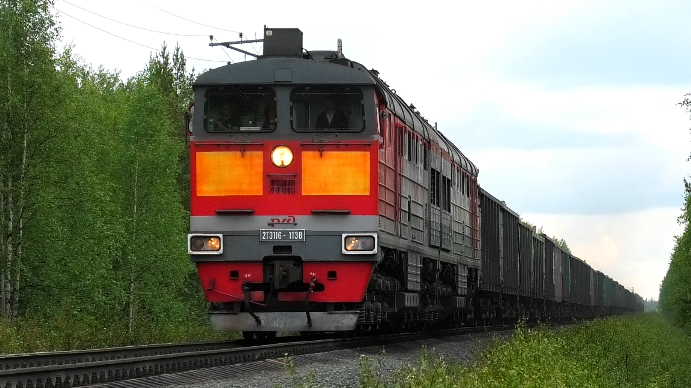 2ТЭ116-1138 с грузовым поездом