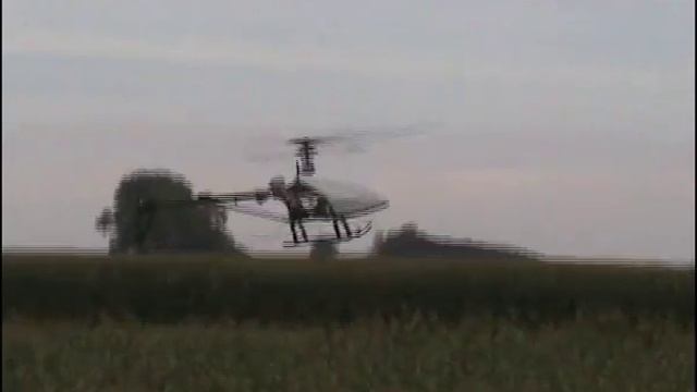 T Rex 450 Clone RC Helicopter Von TOPpreisModellbau