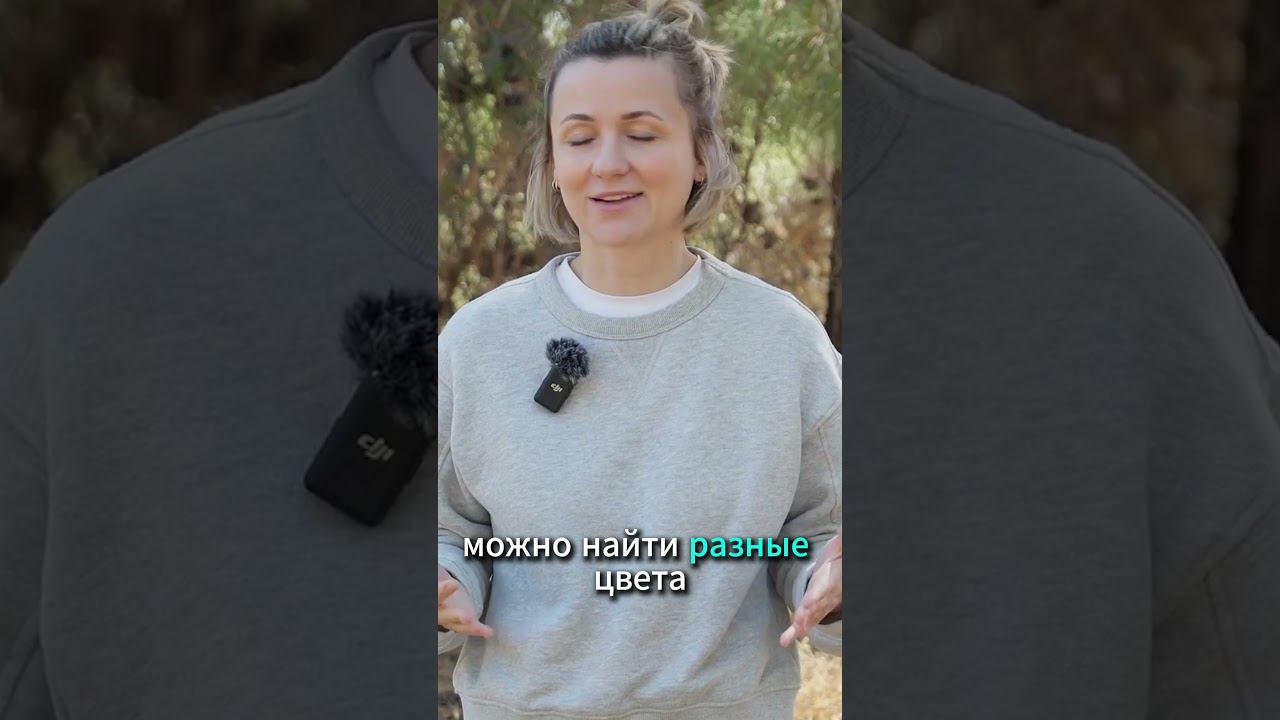 Лучший материал для поводка #shorts смотреть онлайн