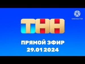 ТНН ПРЯМОЙ ЭФИР 29.01 2024 16:34
