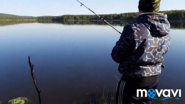РЫБАЛКА НА ФИДР ЛЕТОМ В ГЛУШИ ЛЕСА!!!БЕШЕНЫЙ КЛЁВ БЕЛОЙ РЫБЫ!!! смотреть онлайн