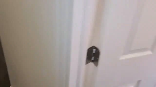 Apartment For Rent: In Philadelphia 1BR 1Bath By TrustArt Realty, Philadelphia Property Management