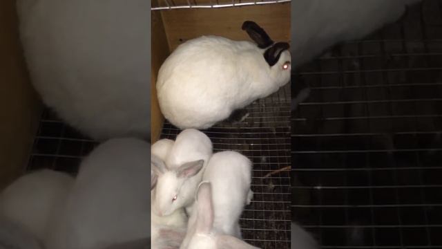 Потерянное время