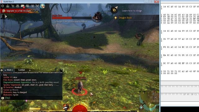 Guild Wars 2: invisible & immortal mode with GW2 Packet Engine Cheat 2021 смотреть онлайн