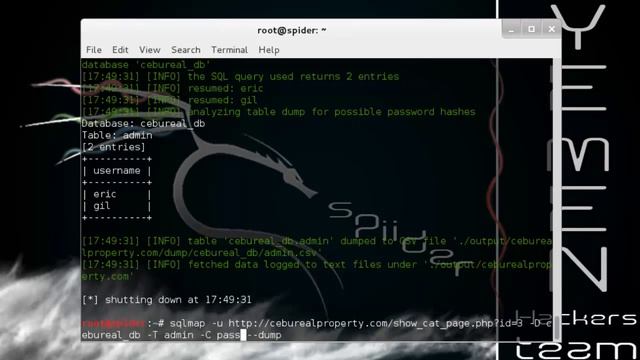 SQL injection with kali Linux смотреть онлайн