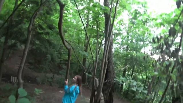 #1 / 24 ЧАСА В ЛЕСУ / Соня Лэйсик смотреть онлайн
