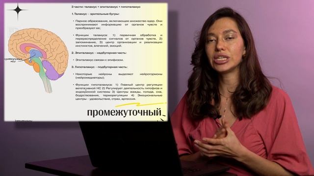 ЕГЭ Биология. Быстро запоминаем все отделы головного мозга за 15 минут. Лайфхак смотреть онлайн