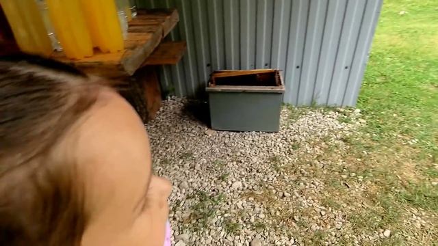 ГОРЫ Абхазии / КАМЕННЫЙ Мешок / Озеро Рица / Гегский водопад смотреть онлайн