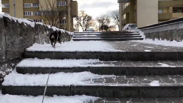 Город-сказка смотреть онлайн