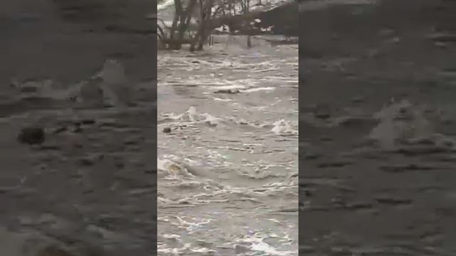 половодье на дону, сдуло авто ч.2 смотреть онлайн