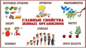 «Строение животных», Окружающий мир 3 класс ч.1, с.99-100, Планета знаний.