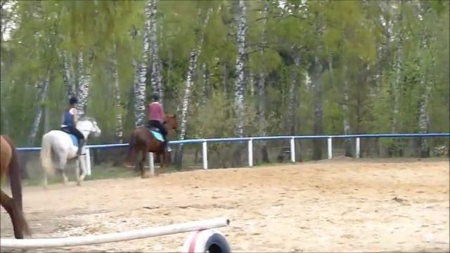 ШВЕ Династия смотреть онлайн