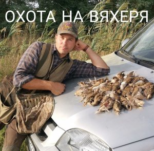 Охота на вяхеря