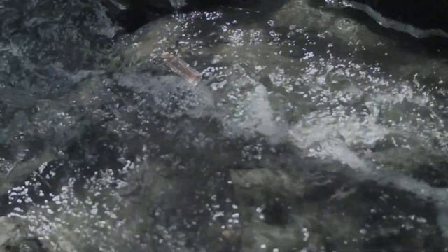 CCRCD Coastal Cleanup Month - Where Trash Travels